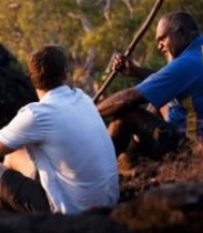 Counseling and Psychotherapy Services for the North Shore and Chicagoland